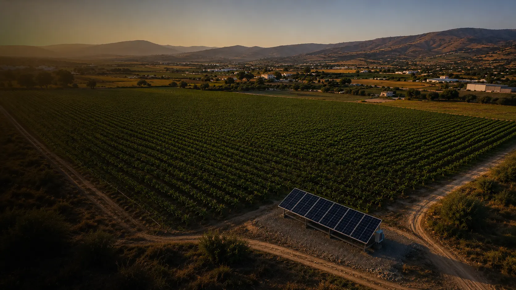 A solar array on a frame at the edge of an irrigated field in Cyprus at golden hour, with the valley and hills behind it.